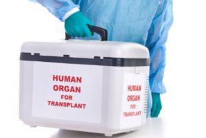 Livertransplant