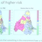 Livernorth Jess Dyson talk