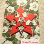 Christmas Rose Star