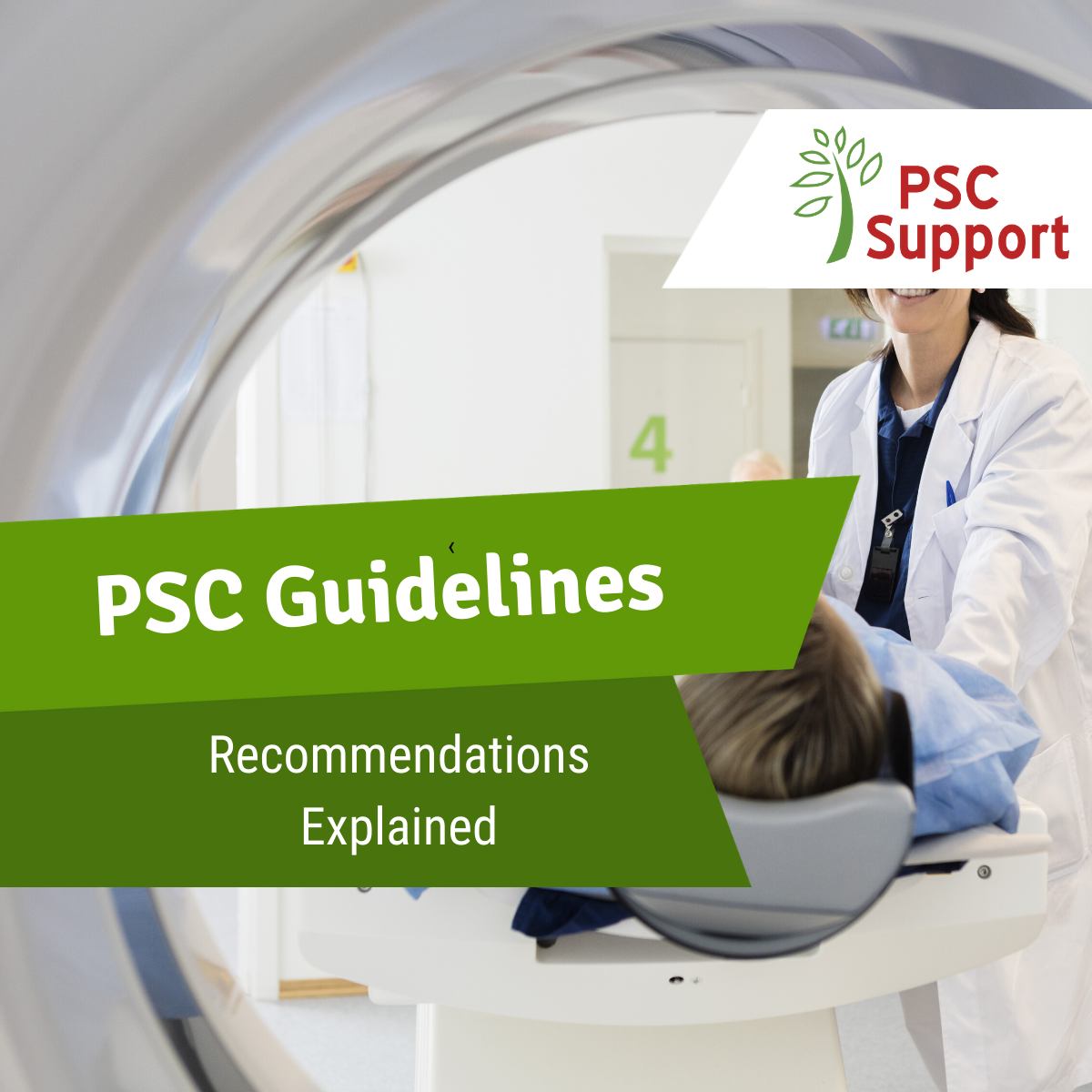 PSC Guidelines Explained by PSC Support