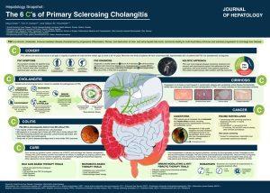 6cs of PSC graphic 2