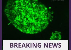 Breaking News ICR Jan 2025