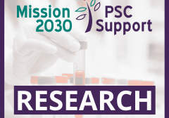 Monthly_research_roundup_from_martine_walmlsey